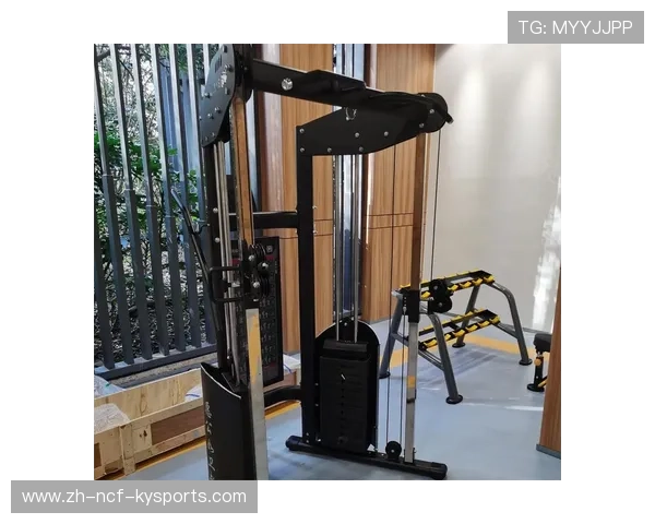 预算有限如何构建最实用的家庭健身器材库