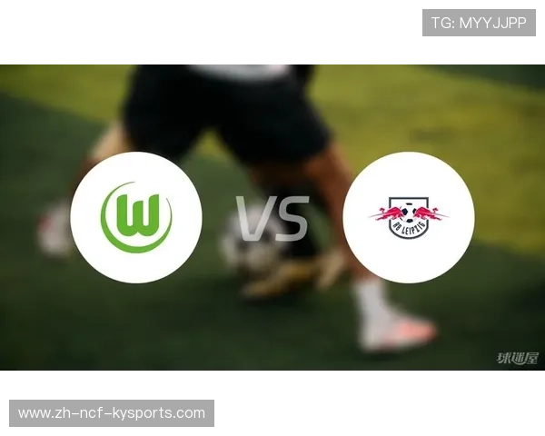 德甲球队科普视频回放合集：新球迷入门指南